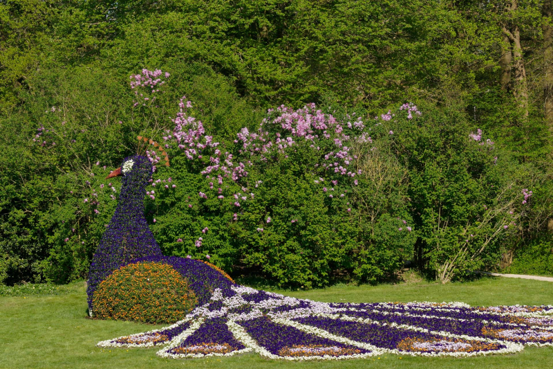 Schlossgärten Arcen starten am 1. April in die Gartensaison